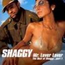 Mr. Lover Lover - The Best of Shaggy... Part 1